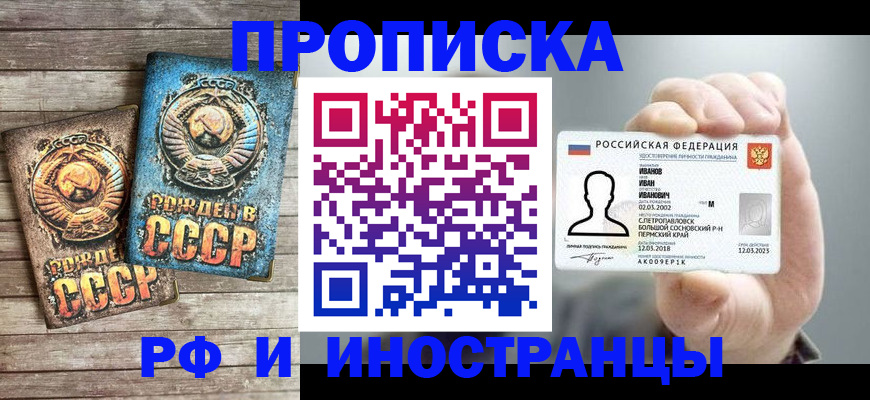 где прописаться в Пионерском